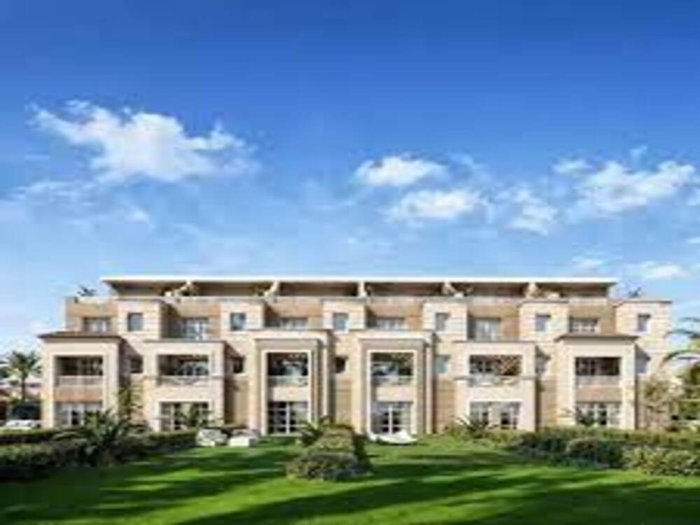 Butterfly gallery image